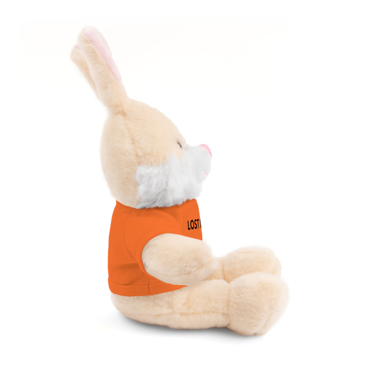 Stuffed Animal with Message Tee, Adorable Plush Toy, Gift for Kids, Comfort for Loss, Thoughtful Keepsake